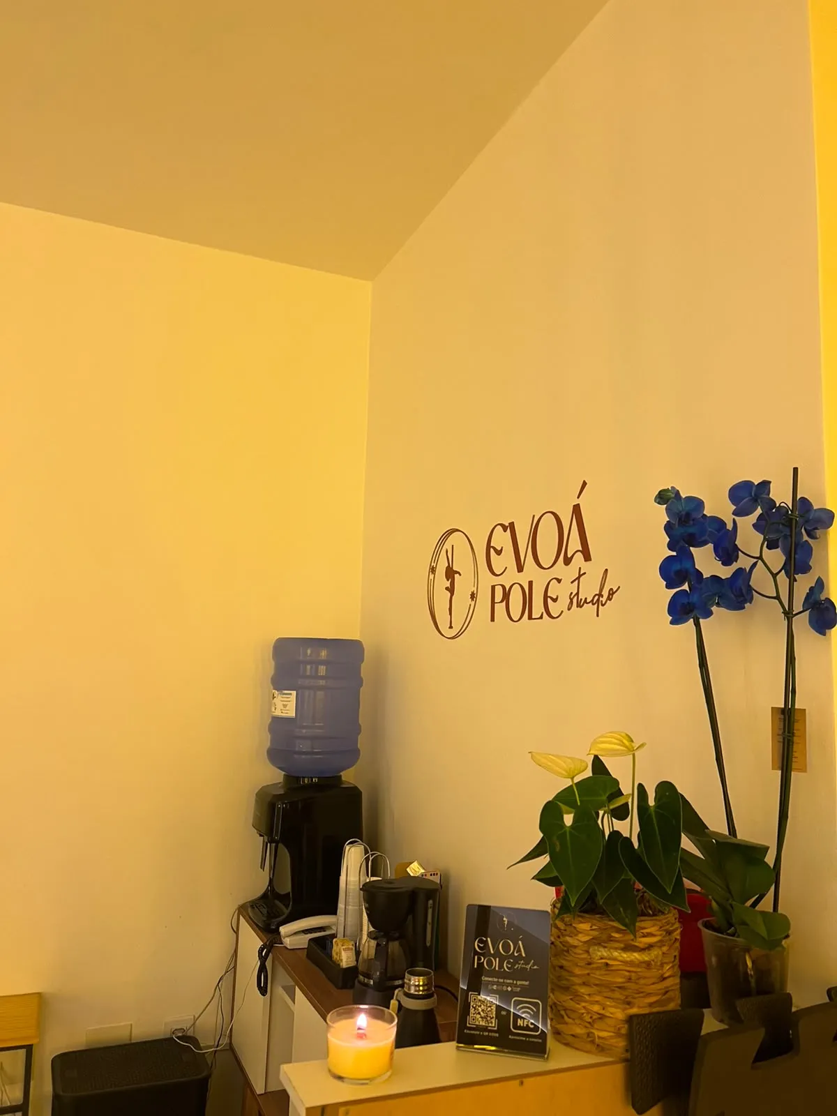 Recepção da Evoá com o logo na parede e plantas